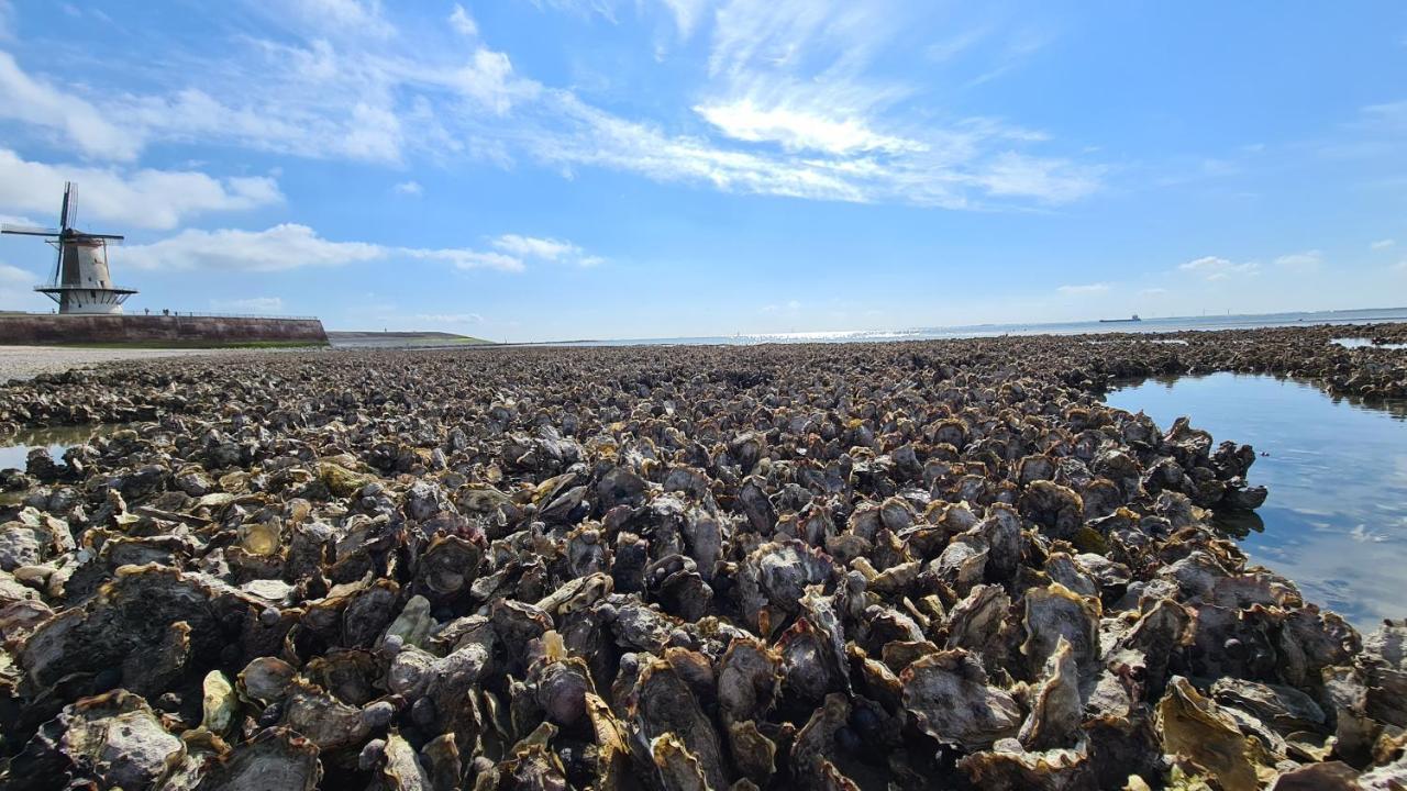 Rijksmonument Havenzicht, Met Zeezicht, Ligging Direct Aan Zee En Centrum Vlissingen Eksteriør billede